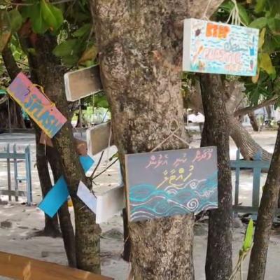 4 Hour Villingili Green Walk: A Guided Eco Tour Through Local Island Culture Image