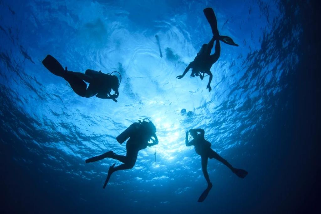 Villingili: Discover Scuba Diving Image