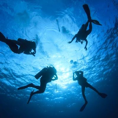 Villingili: Discover Scuba Diving Image