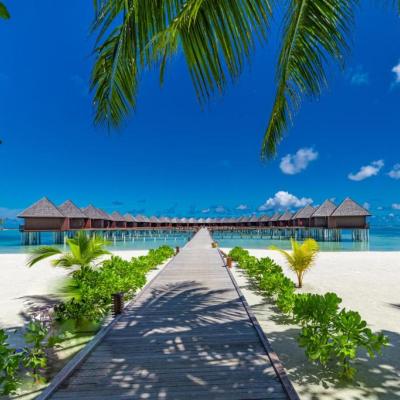 Sun Siyam Olhuveli – Luxury 5-Star Resort Day Trip  Image