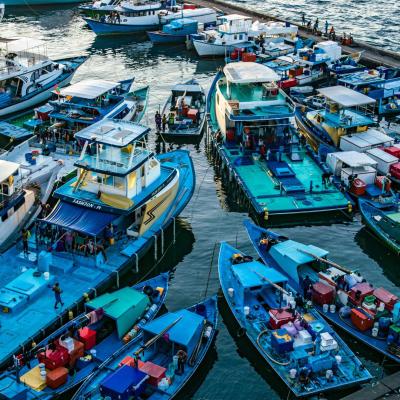 Malé: 3 Hour Malé City Walking Tour Image