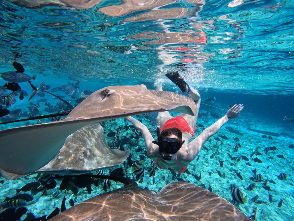 Fish Tank Reef Shark Snorkeling Safari In Himmafushi Maldives 