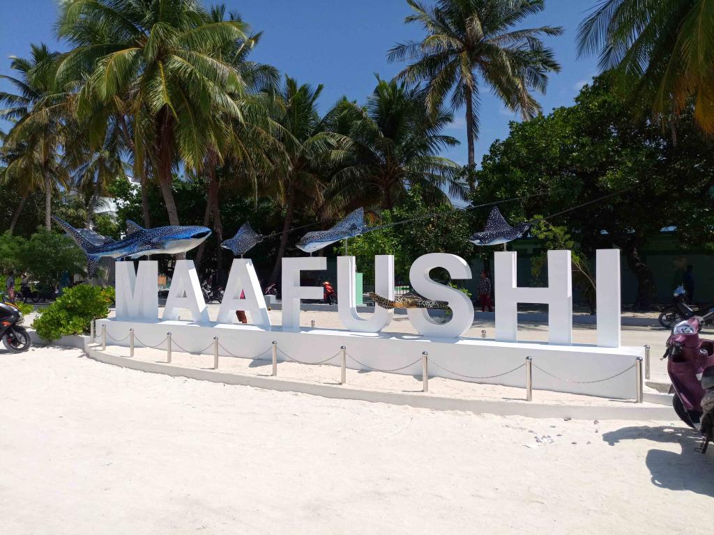 7 Hour South Malé Island Hopping: Your Ultimate Maldives Adventure Image