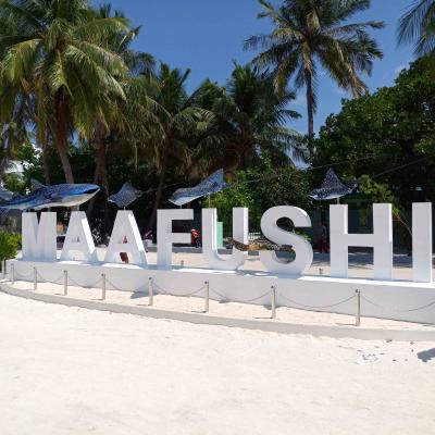 7 Hour South Malé Island Hopping: Your Ultimate Maldives Adventure Image